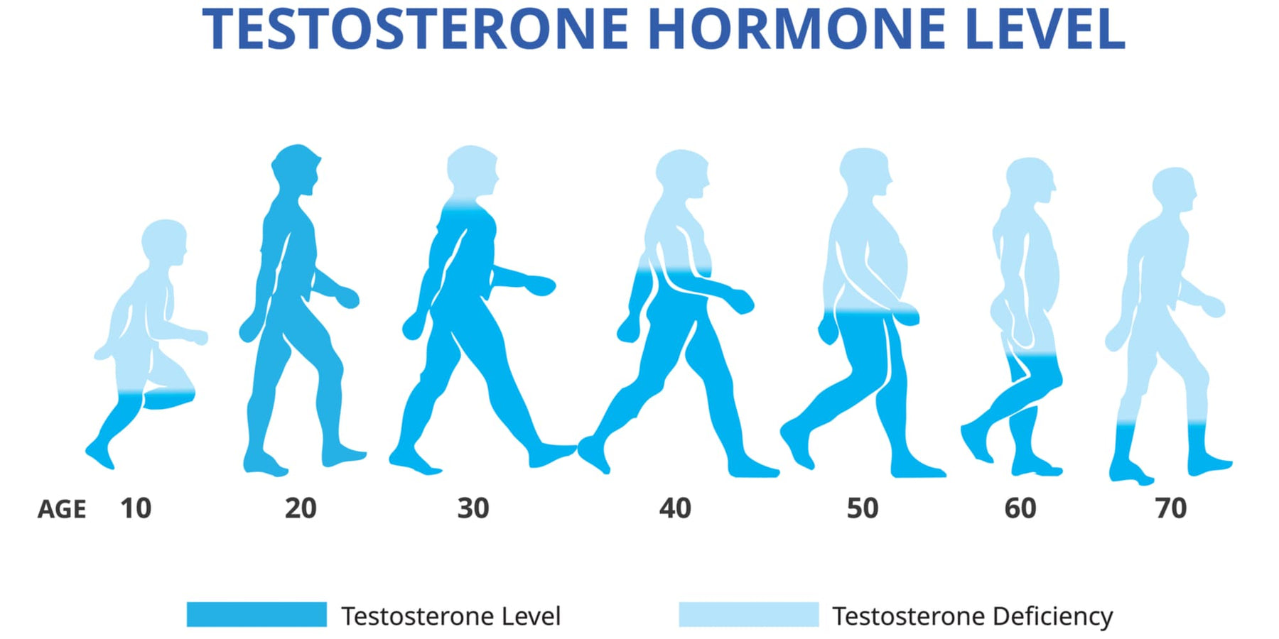 Méthodes naturelles pour stimuler la testostérone