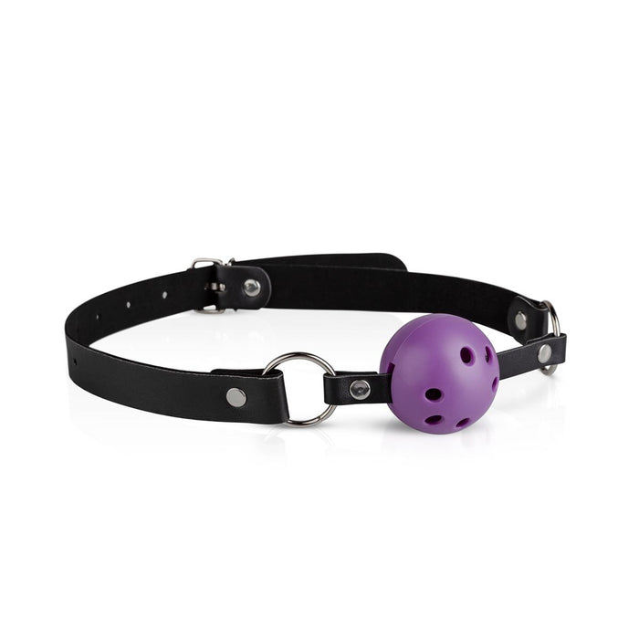Bedroom Fantasies Purple Apprentice Kit De Bondage