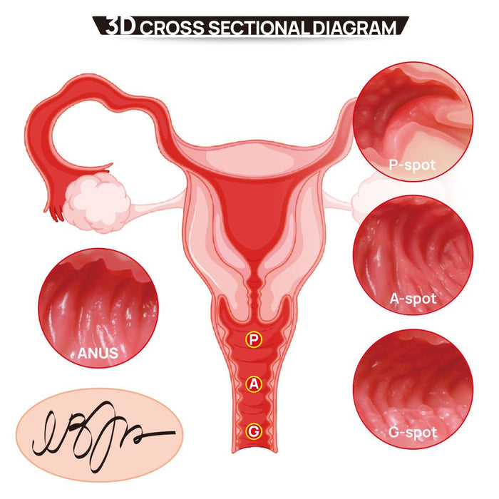 Kokos Vanilla Onahole Real Hips Double Layer Masturbateur