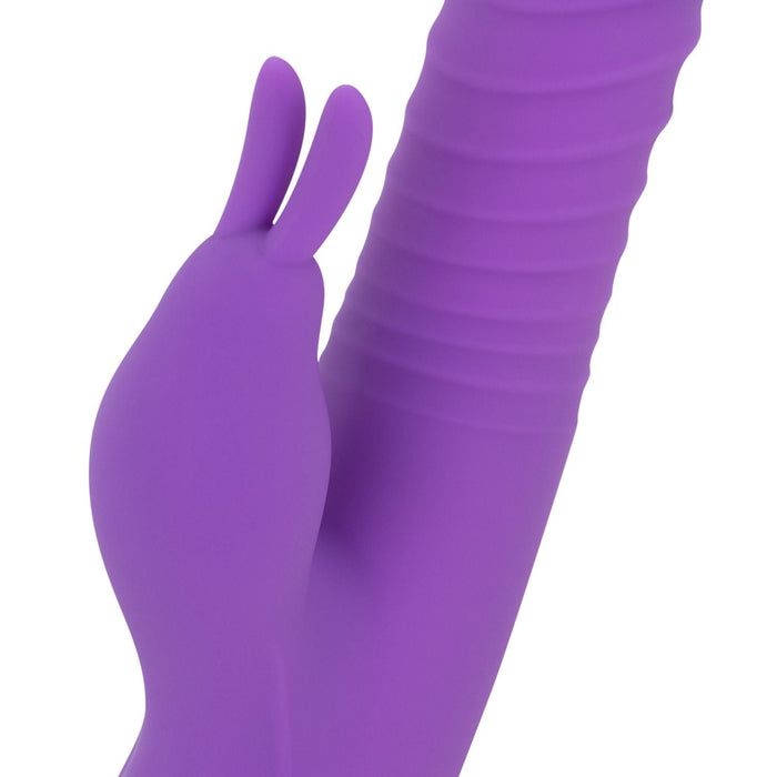 Teazers Vibromasseur Rabbit Va et Vient 24 cm