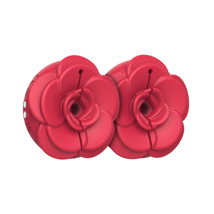 Teazers Pinces à Seins Vibrantes