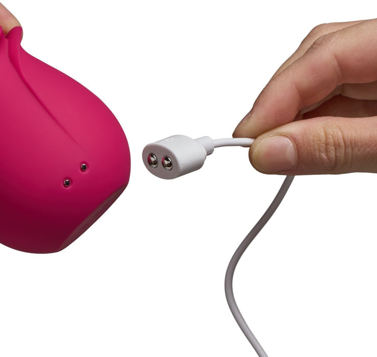 Satisfyer Pro 2 Classic Rose Vibromasseur À Pression D'air 16 cm