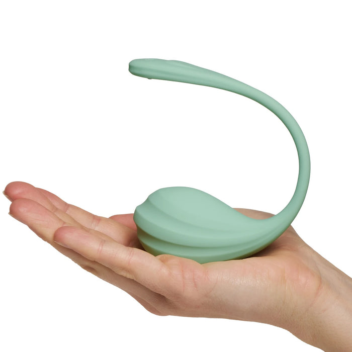 Satisfyer Smooth Petal Vibromasseur Portable 18 cm